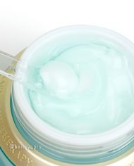 0919_THE_FACE_SHOP_THE_THERAPY_ROYAL_MADE_MOISTURE_BLENDING_CREAM_review_00008